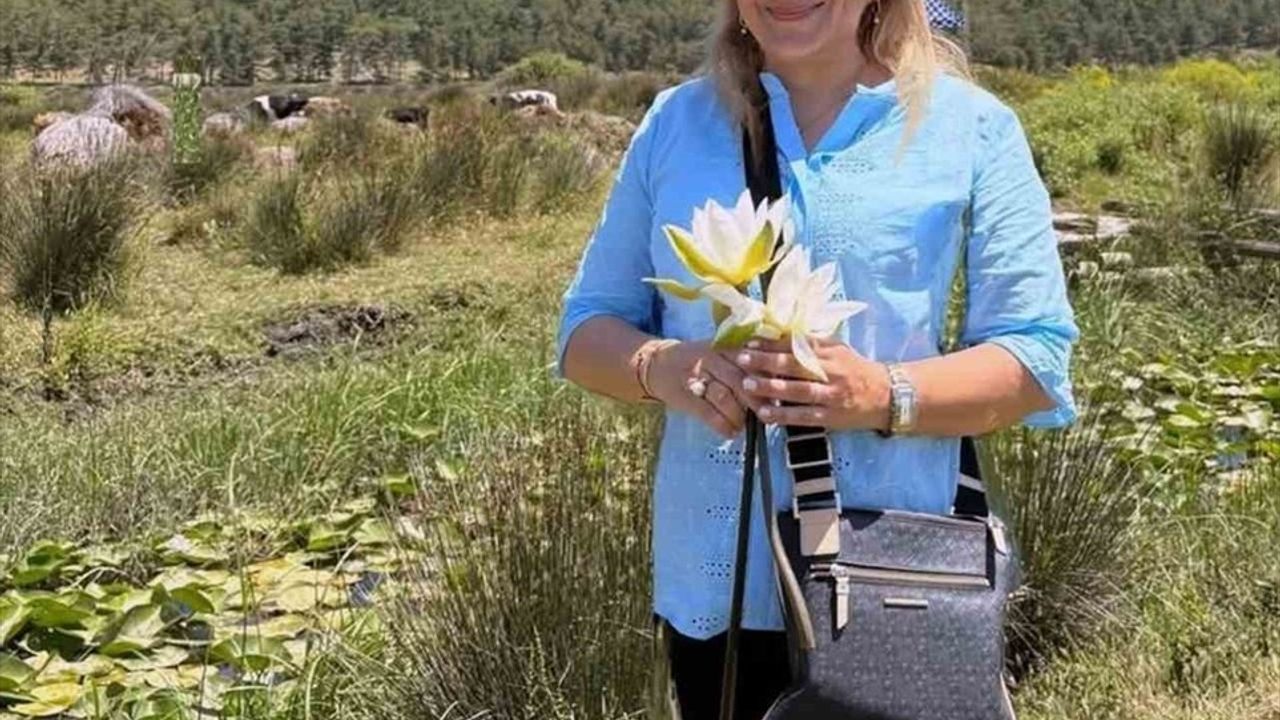 Köyceğiz Gölü’nde Yetişen Beyaz Nilüfer Çiçeği Doktora Tezi Konusu Oldu