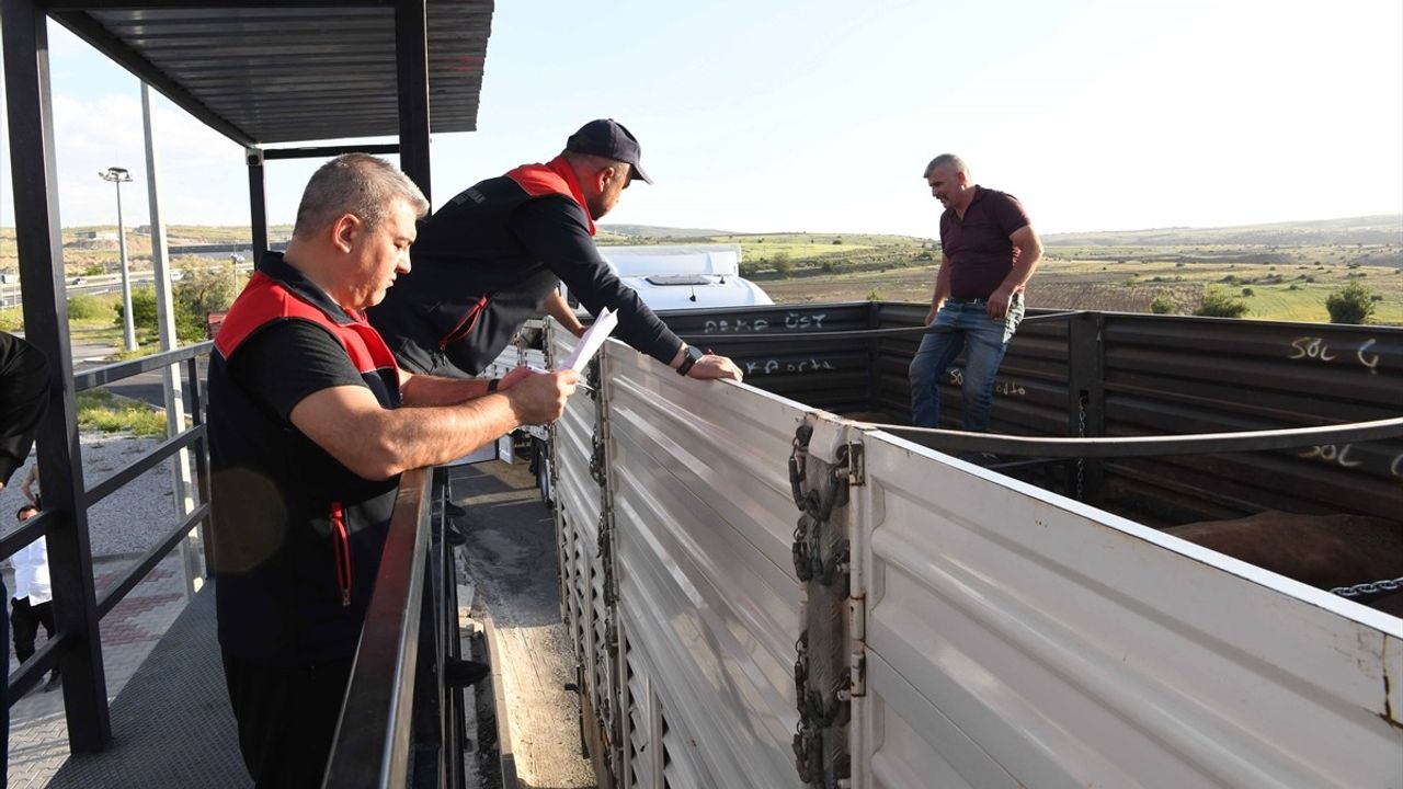 Kurban Bayramı Öncesi Hayvanlara Sıkı Kontrol Uygulaması