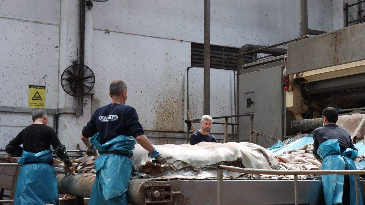 Kurban Derilerinin Doğru İşlenmesi Ekonomiye Milyonlarca Dolar Katkı Sağlayacak