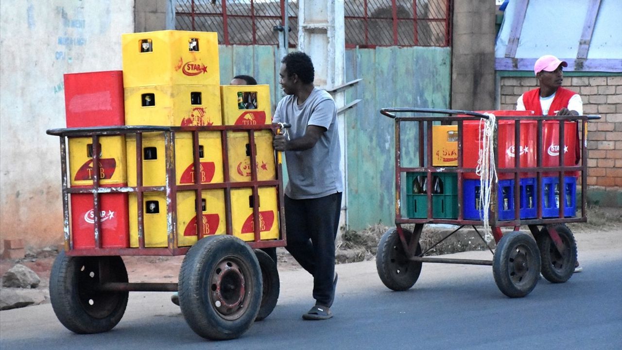 Madagaskar Yatırımcıları Bekliyor: Potansiyelini Değerlendirmek İçin Fırsatlar Sunuyor
