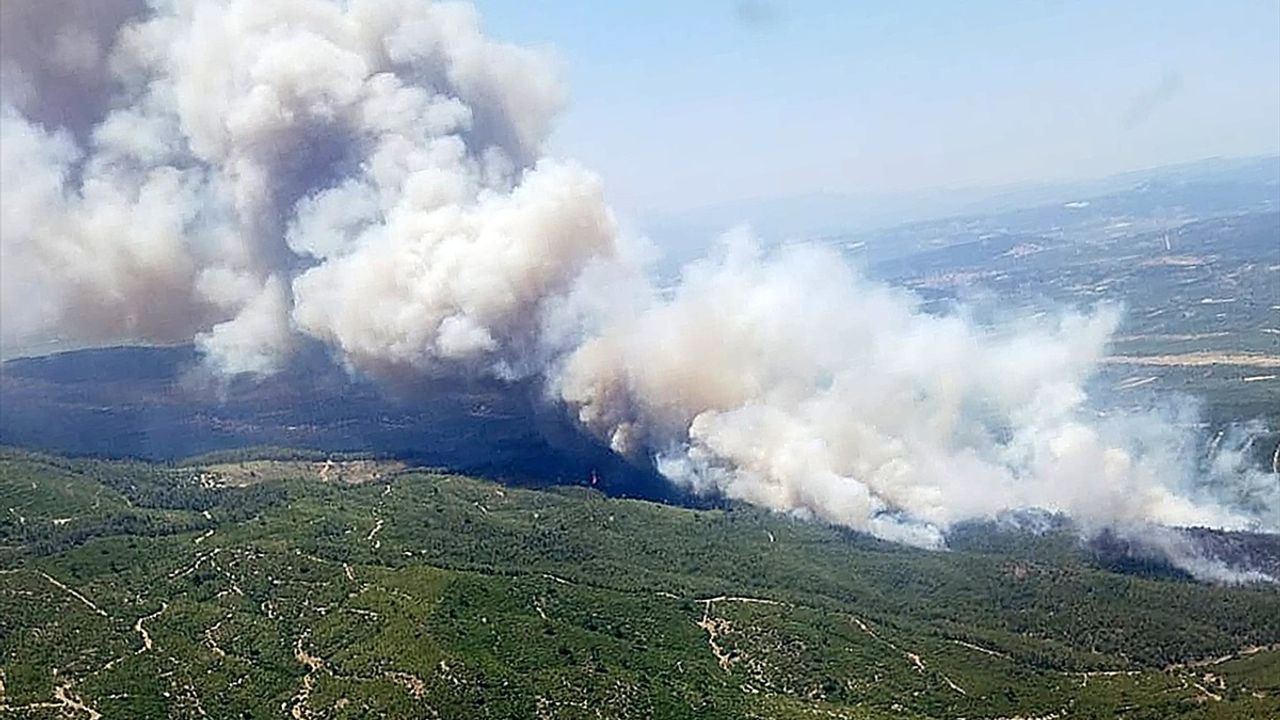 Manisa Akhisar'da Orman Yangınına Müdahale Devam Ediyor