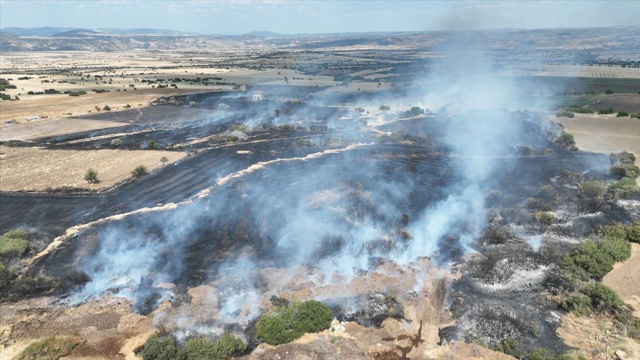 Manisa'da Buğday Tarlasında Yangın Kontrol Altına Alındı