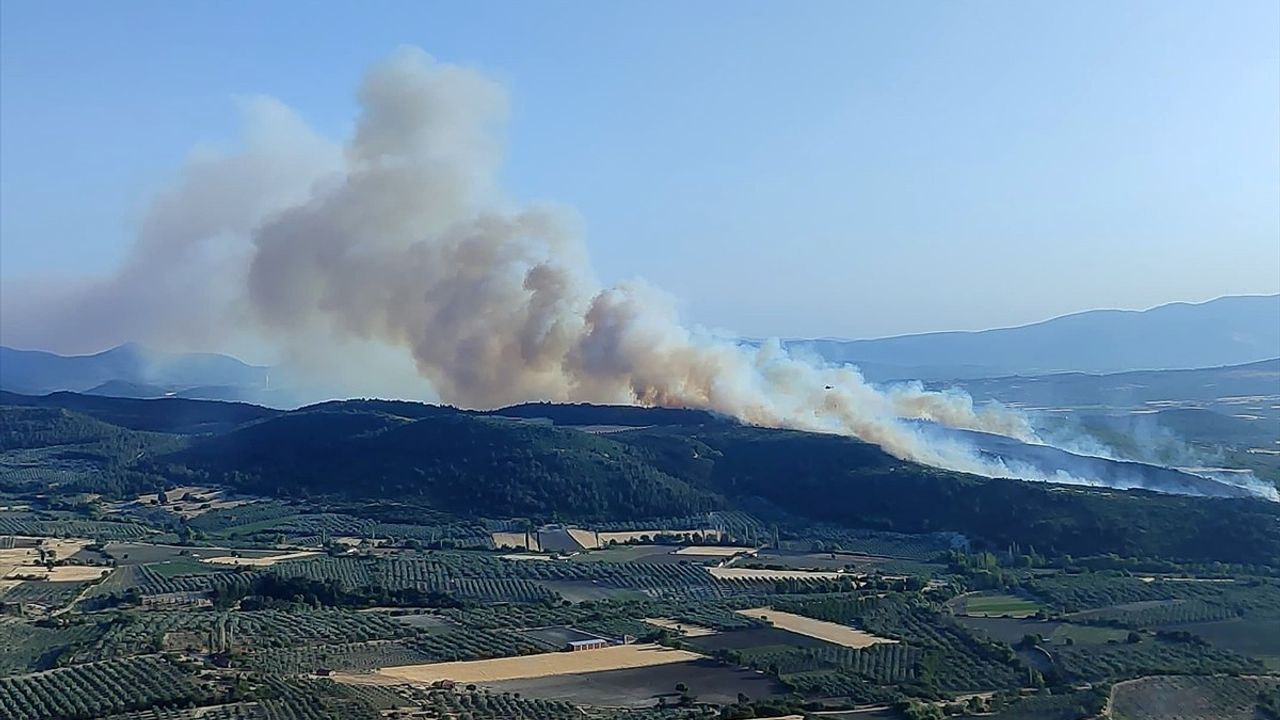 Manisa'nın Kırkağaç İlçesinde Orman Yangınına Müdahale Devam Ediyor