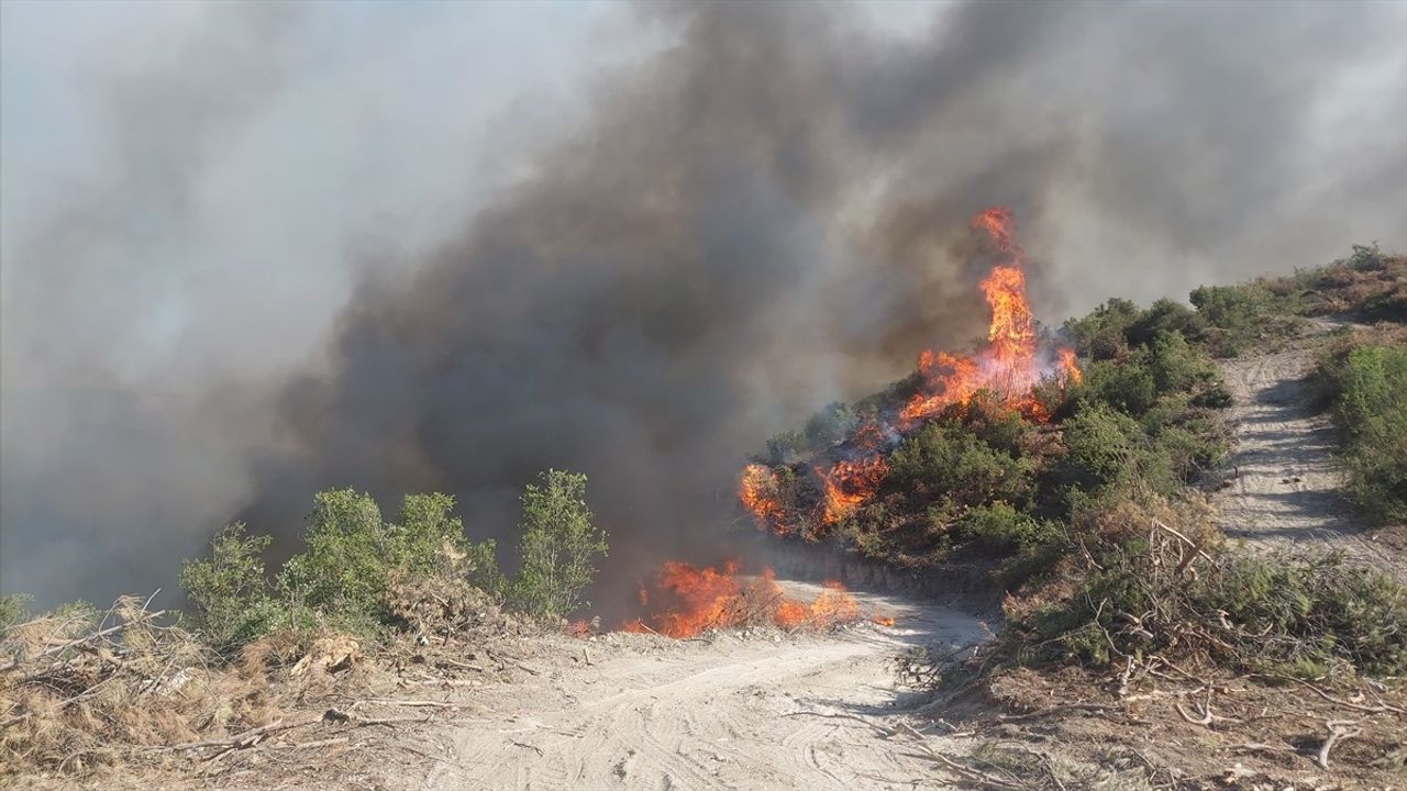 Manisa'nın Kula İlçesinde Orman Yangınına Müdahale Ediliyor