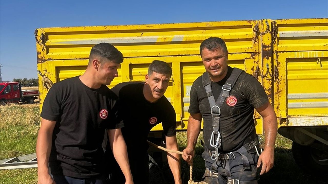 Mardin'de Kuyuya Düşen Koyun İtfaiye Ekipleri Tarafından Kurtarıldı