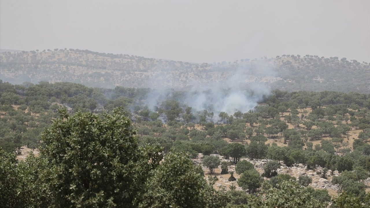 Mardin'deki Orman Yangını Kontrol Altına Alındı