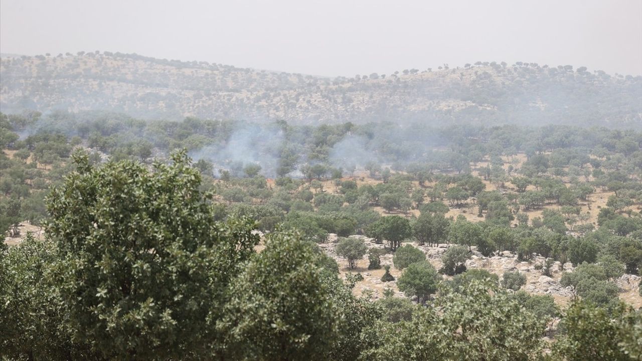 Mardin'in Mazıdağı İlçesinde Orman Yangınına Müdahale Ediliyor