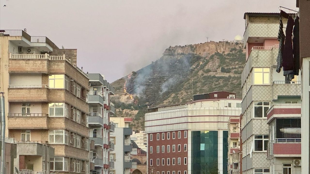Mardin Kalesi Eteklerinde Çıkan Yangın Kontrol Altına Alındı