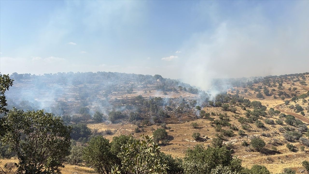 Mardin'deki Orman Yangını Kontrol Altına Alındı