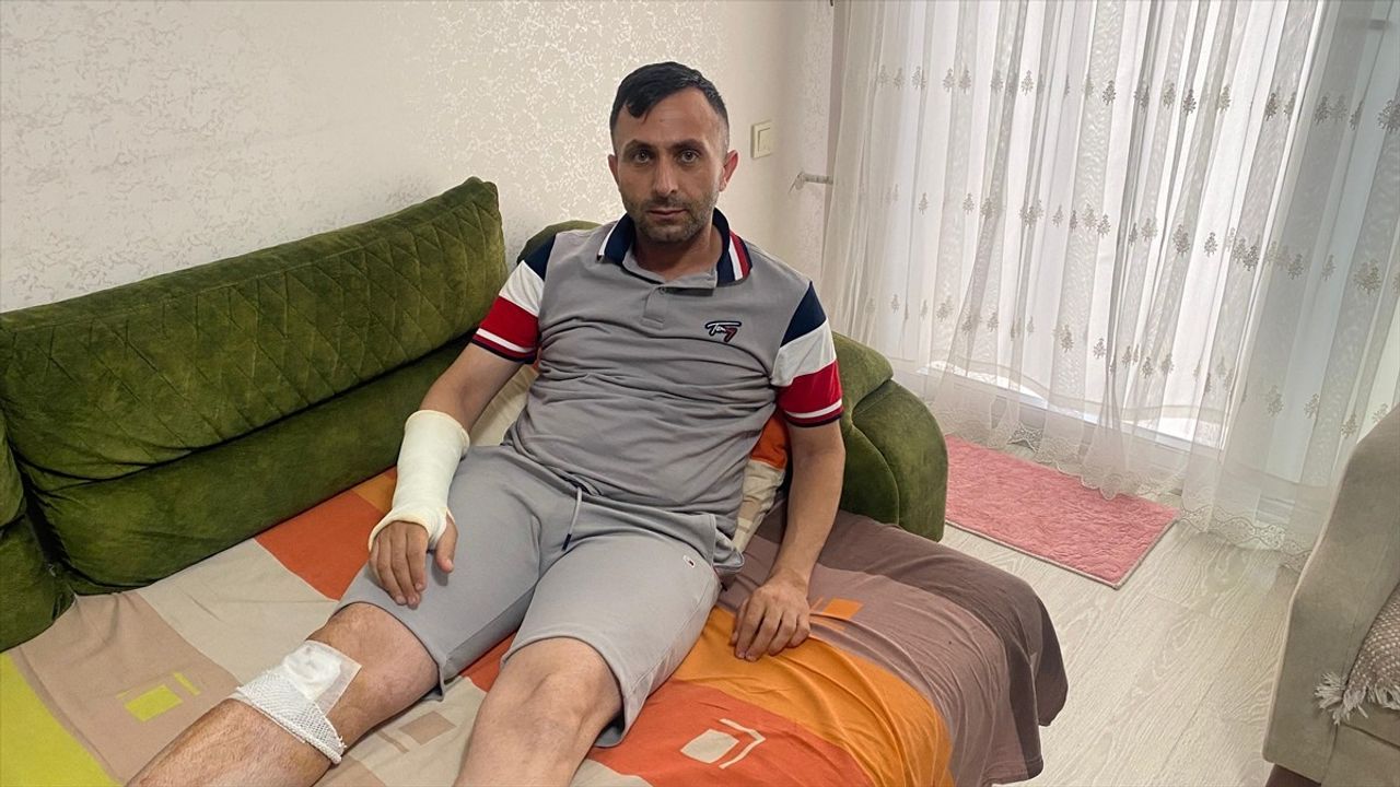 Mersin'de Sahipsiz Köpeklerin Saldırısına Uğrayan Vatandaş Yaralandı