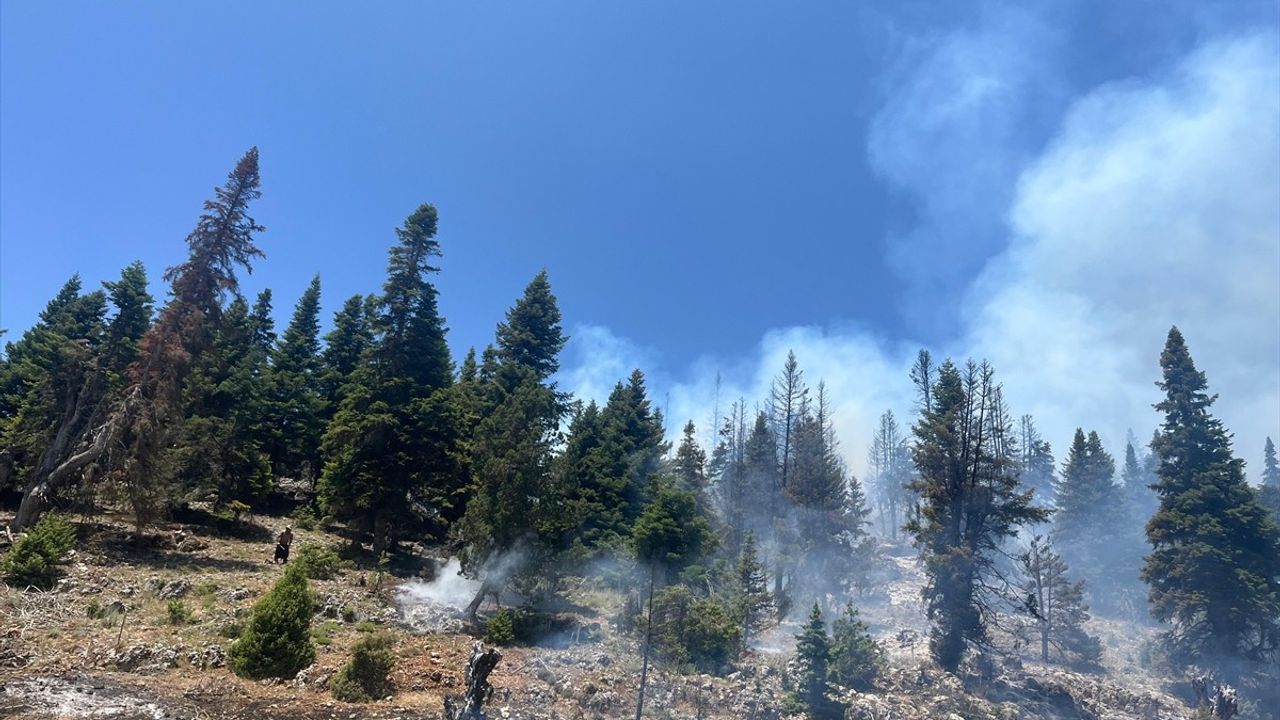 Mersin Erdemli'de Orman Yangınına Hızla Müdahale Ediliyor