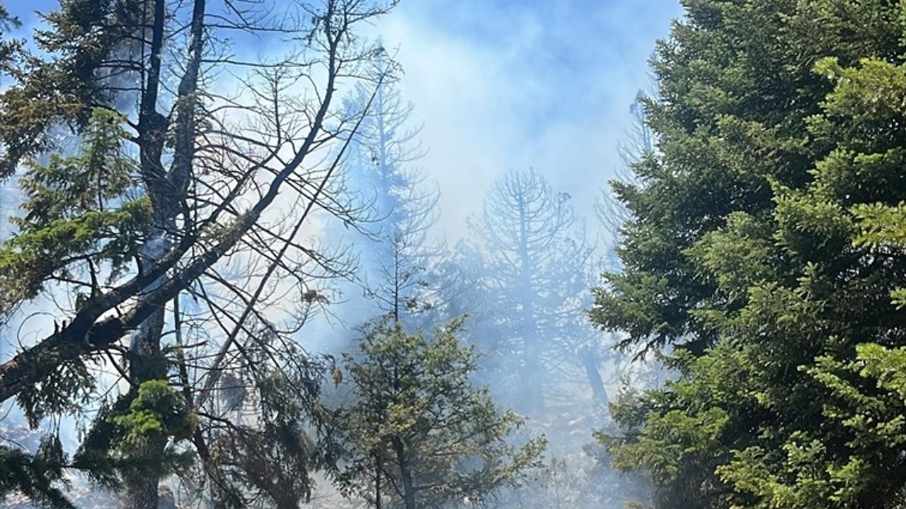 Mersin Erdemli'deki Orman Yangını Kontrol Altına Alındı