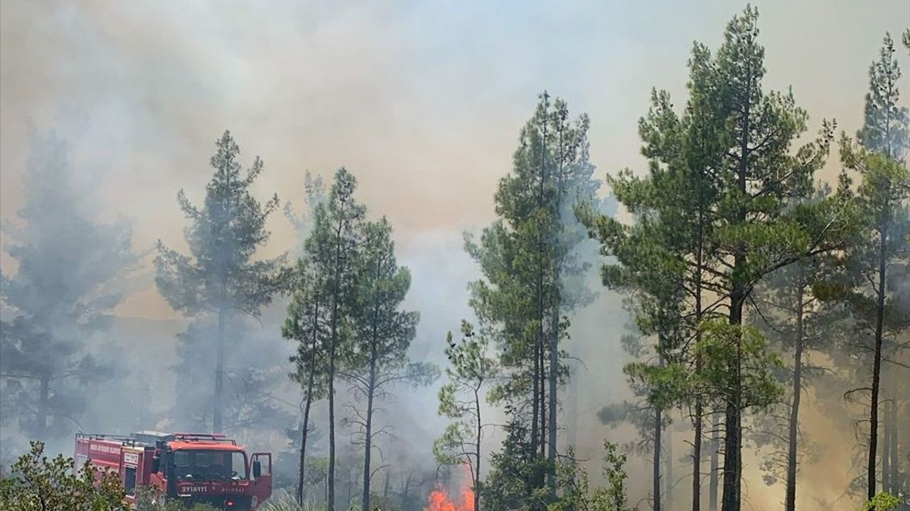 Mersin Gülnar'da Orman Yangını Kontrol Altına Alındı