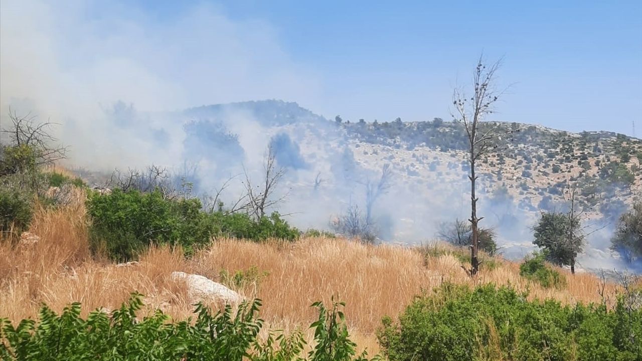 Mersin Silifke'de Ağaçlık Alanda Yangın Çıktı