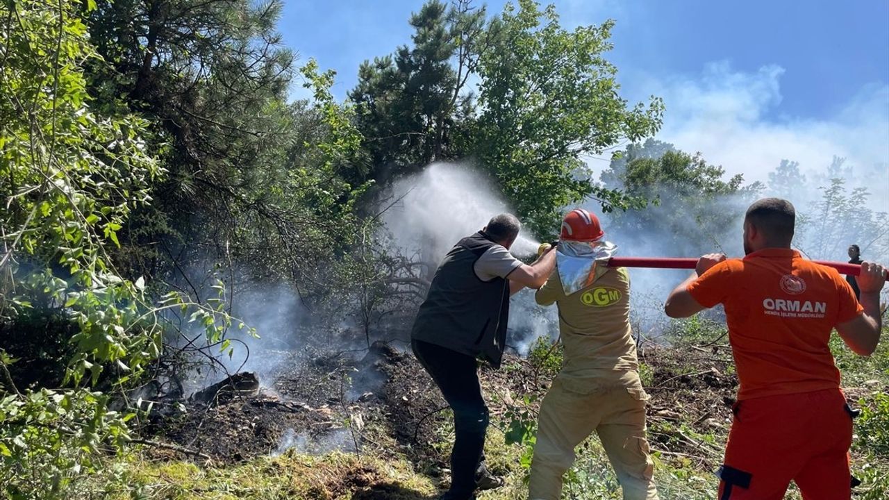 Muğla'nın Köyceğiz İlçesinde Orman Yangını Kısa Sürede Kontrol Altına Alındı