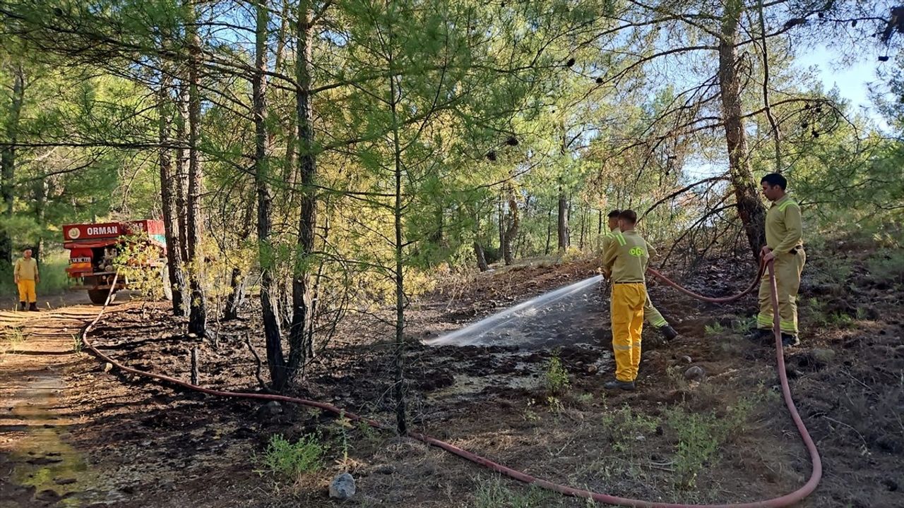 Muğla'nın Menteşe İlçesindeki Orman Yangını Kontrol Altına Alındı