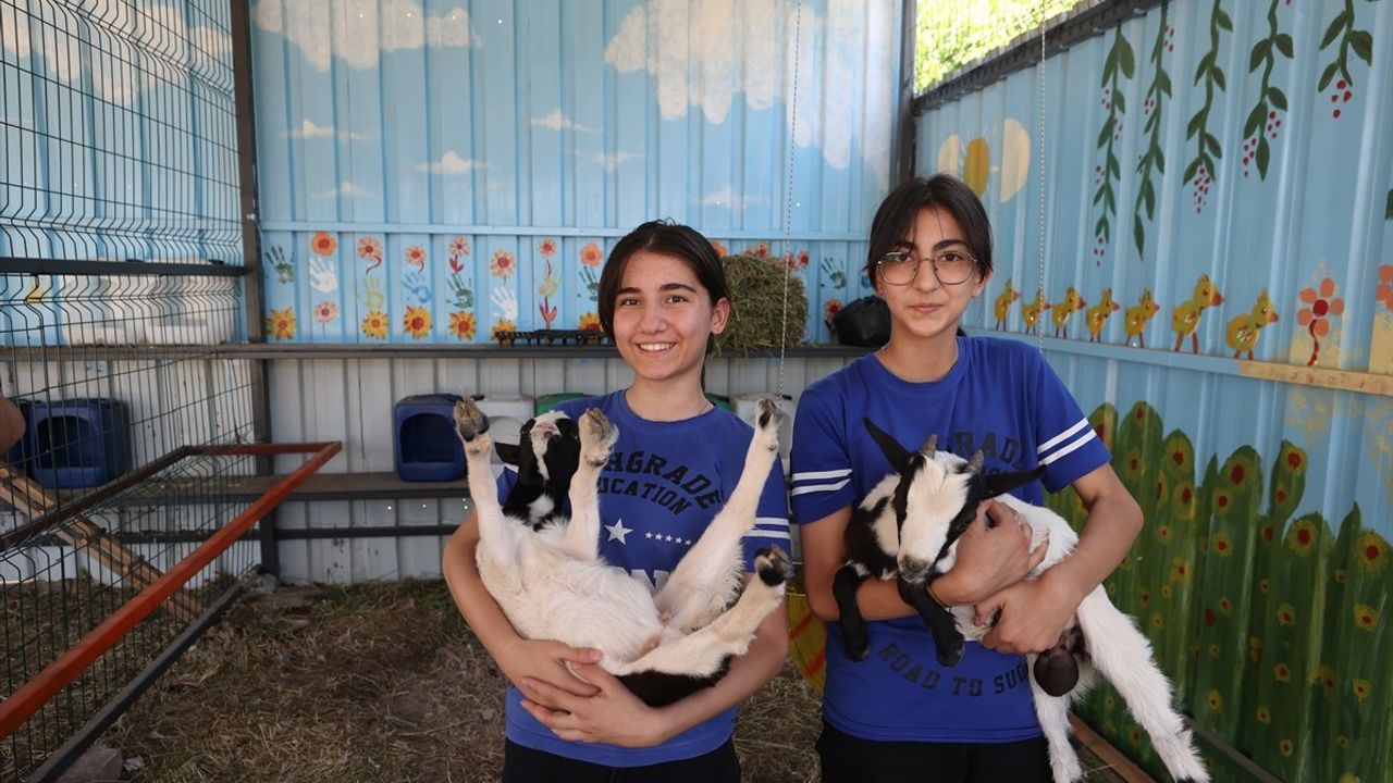 Nebi Güney İmam Hatip Ortaokulu'nda Sanat ve Tarım Bir Arada