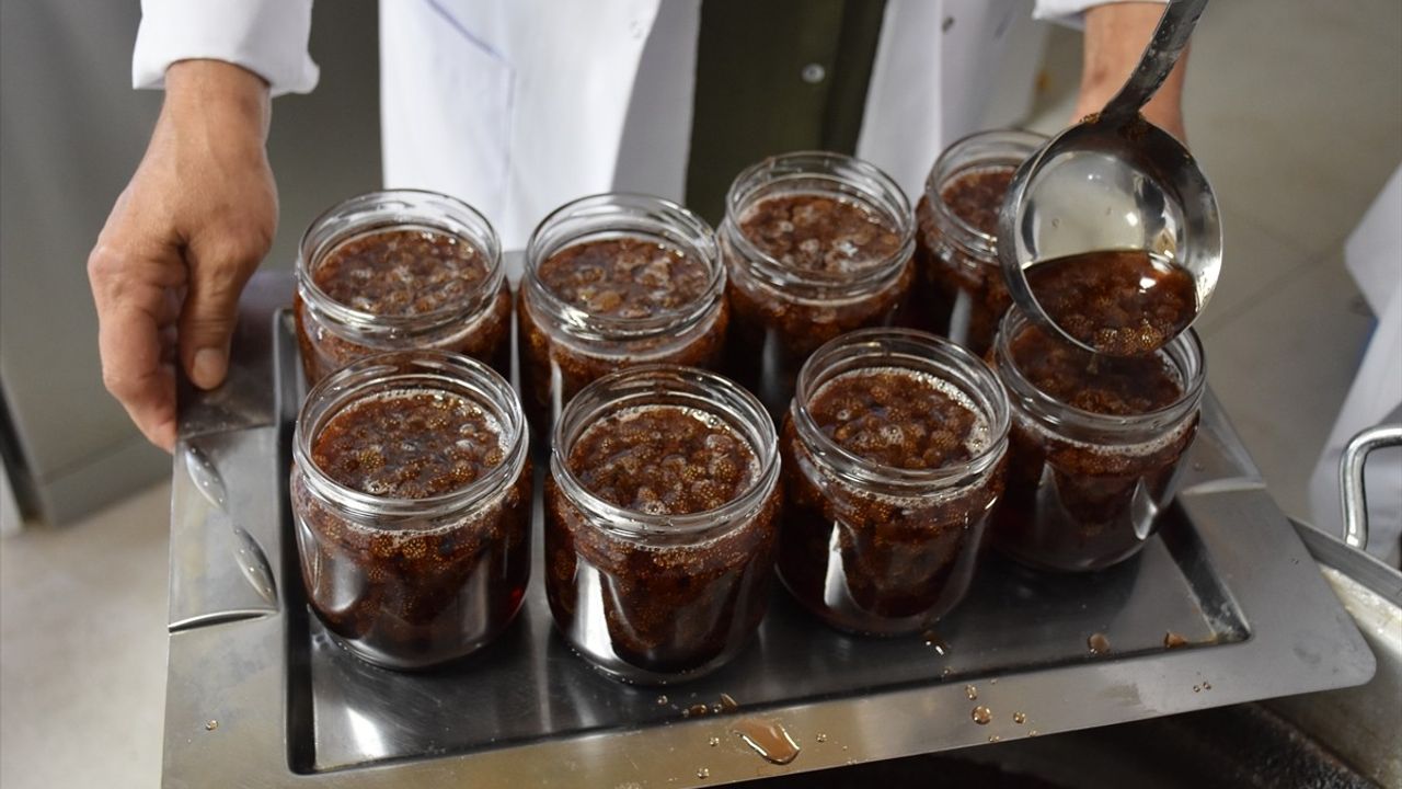 Ordu'da Kadın Kooperatiflerinin Başarı Hikayeleri Belgesel İle Tanıtıldı