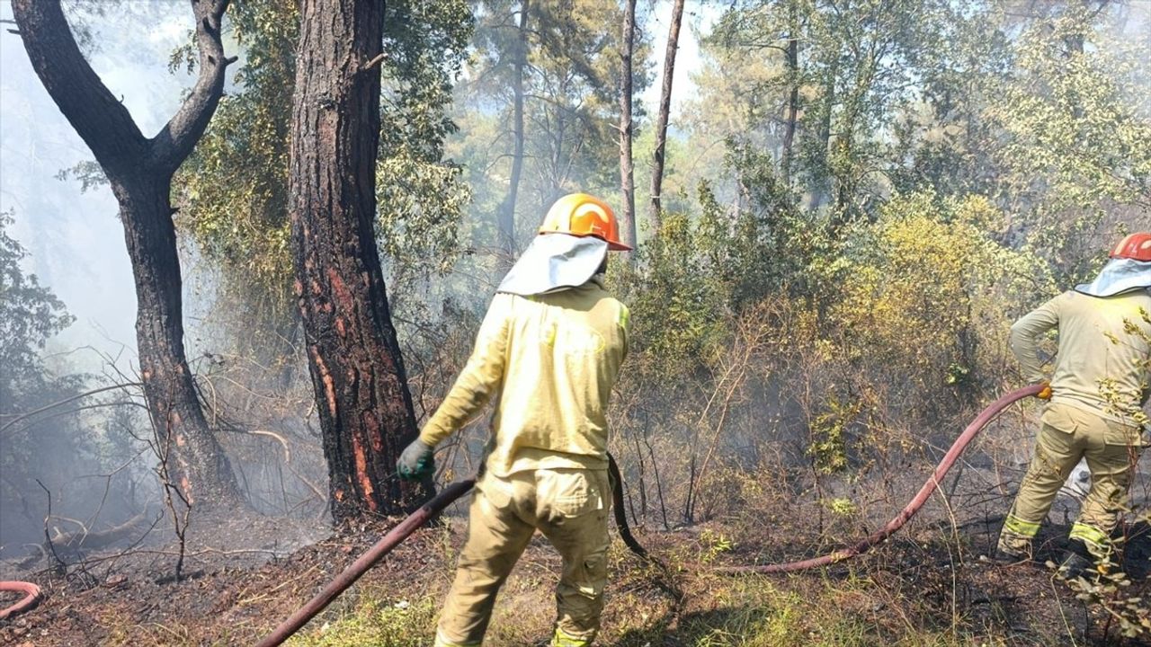 Osmaniye Kadirli'de Orman Yangınına Havadar ve Karadan Müdahale