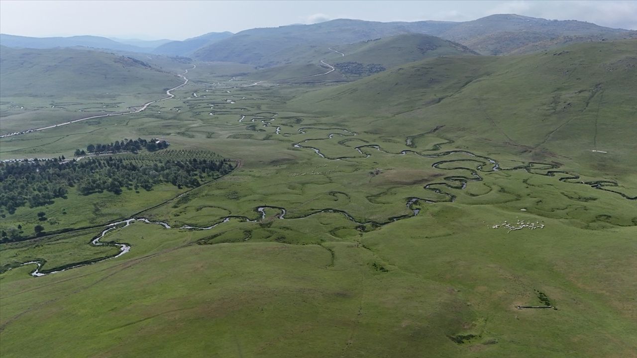 Perşembe Yaylası Kurban Bayramı'nda Yerli Turistlerin İlgisini Çekti