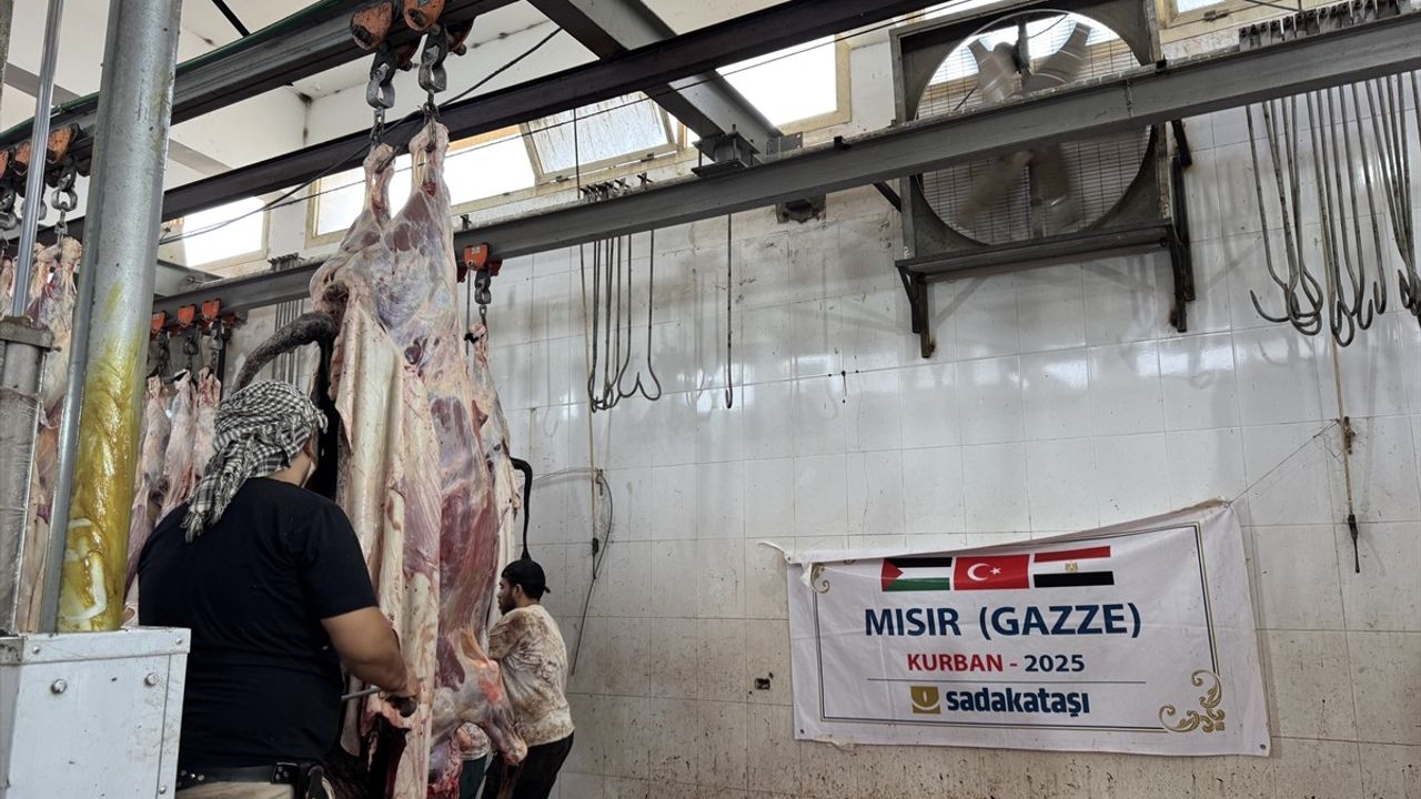 Sadakataşı Derneği, Gazze Şeridi için Mısır'da Kurban Kesimini Tamamladı