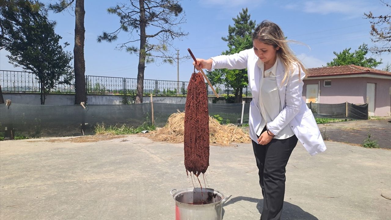 Sakarya'da Kadınlar Doğal Kumaş Dokumacılığı ile Aile Ekonomisine Katkı Sağlıyor