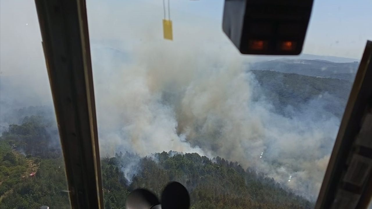 Sakarya'da Orman İşletme Deposunda Yangın Kontrol Altına Alındı