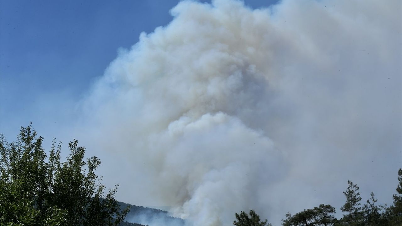 Sakarya'da Orman Yangınına Hızlı Müdahale Devam Ediyor