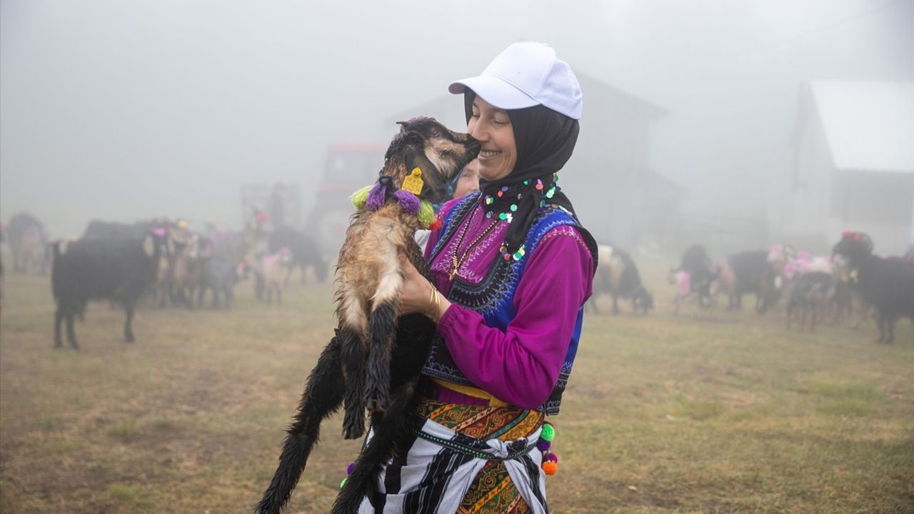 Sakarya'daki Besiciler, Renkli Gelenekleriyle Yaylaya Göç Etti