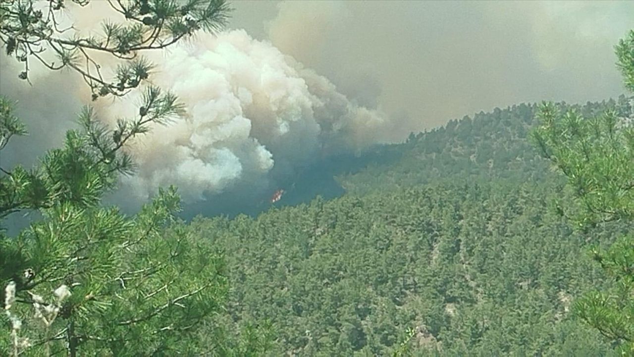 Sakarya'daki Orman Yangını Bilecik'e Sıçradı
