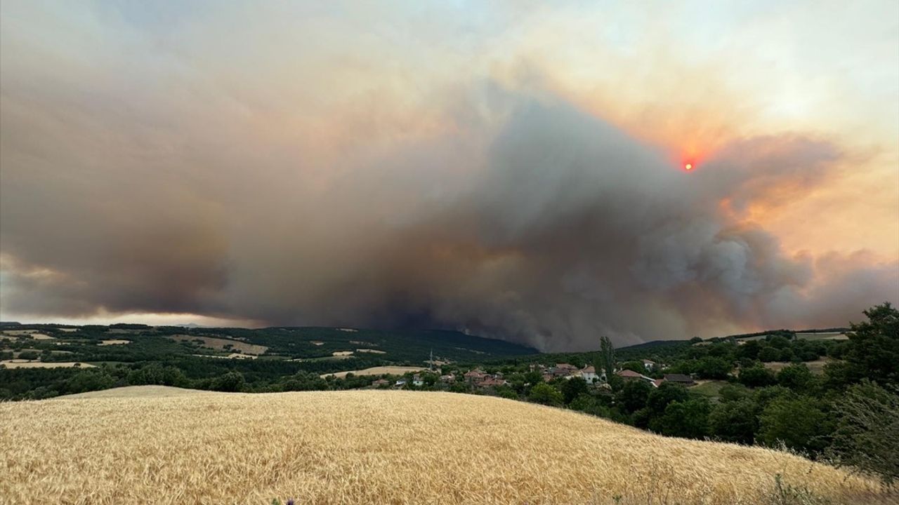 Sakarya'daki Orman Yangını Bilecik'e Sıçradı, Kontrol Altına Alma Çalışmaları Devam Ediyor