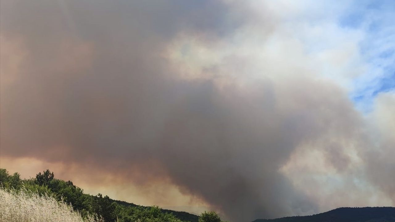Sakarya'daki Orman Yangını Bilecik'e Ulaştı, Muratlar Mahallesi Tahliye Ediliyor