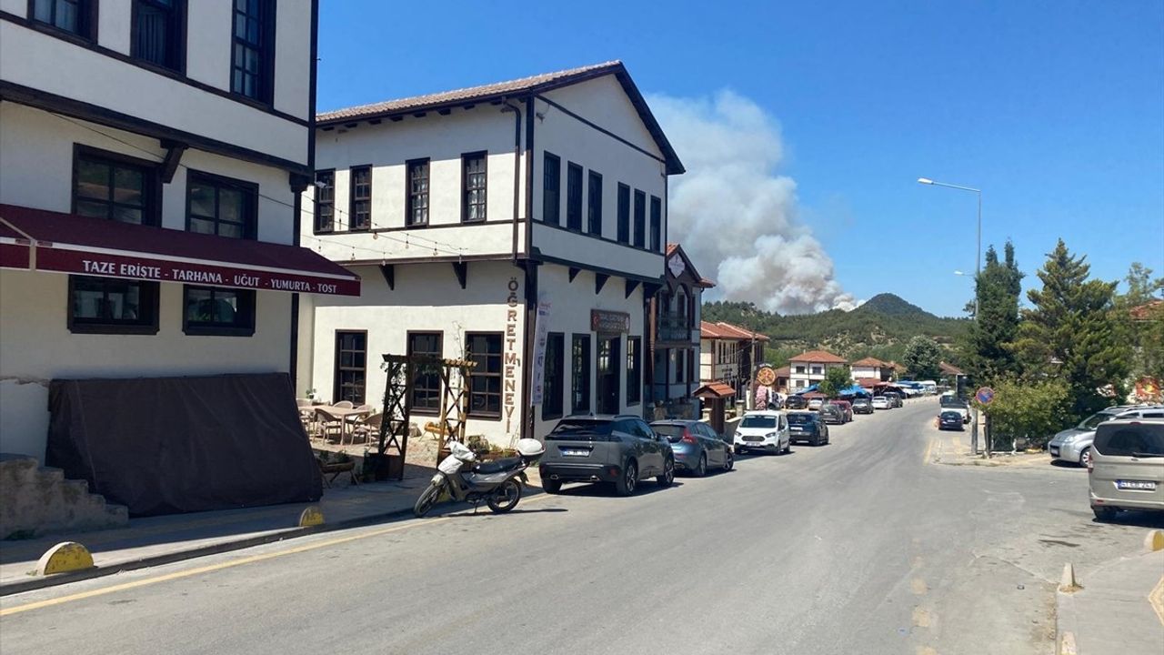 Sakarya'daki Orman Yangınına Havadan ve Karadan Müdahale Devam Ediyor