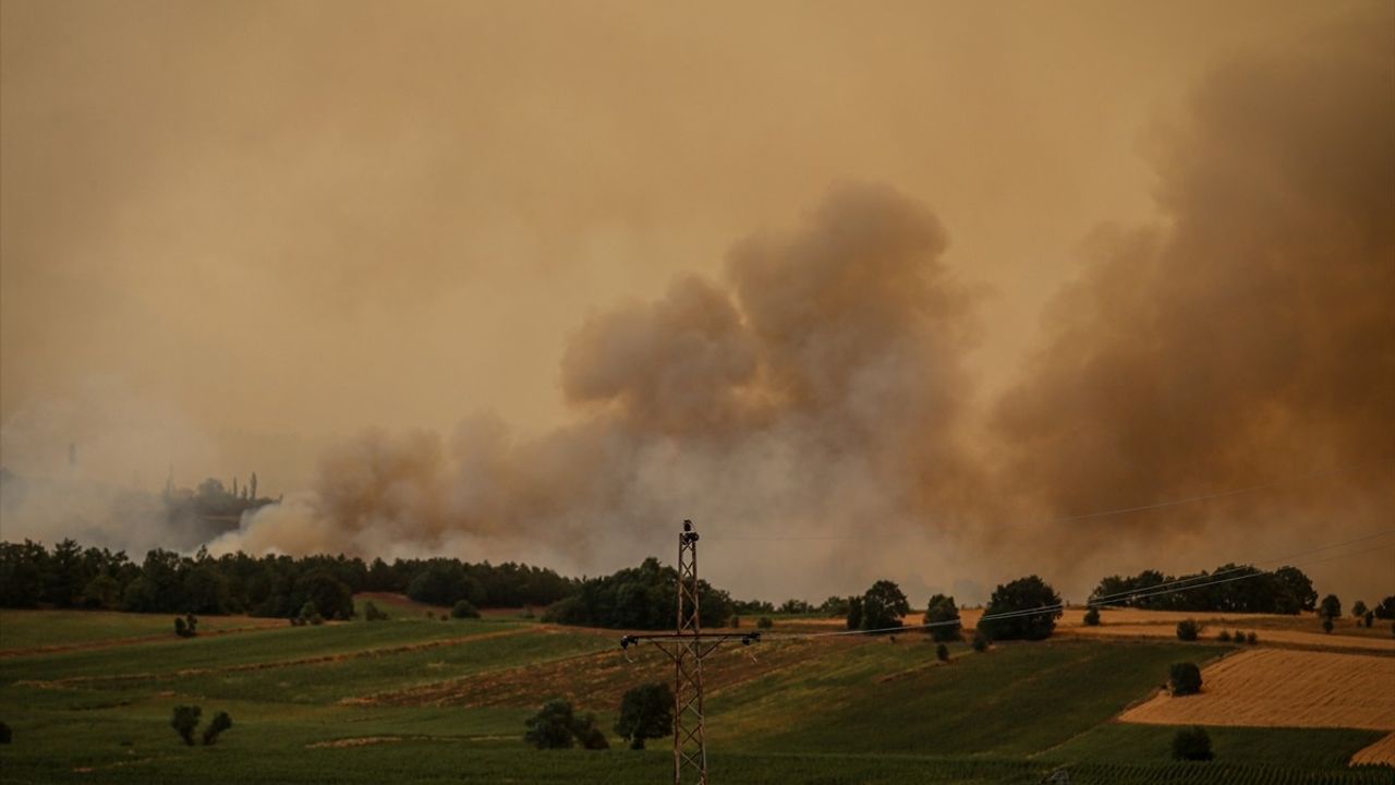 Sakarya'daki Orman Yangınına Müdahale Devam Ediyor