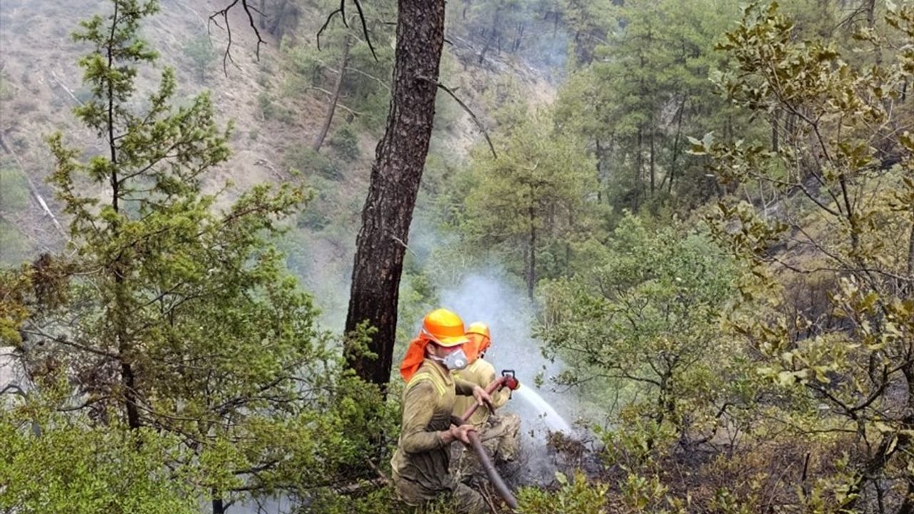 Sakarya'daki Orman Yangınında Kontrol Çalışmaları Devam Ediyor