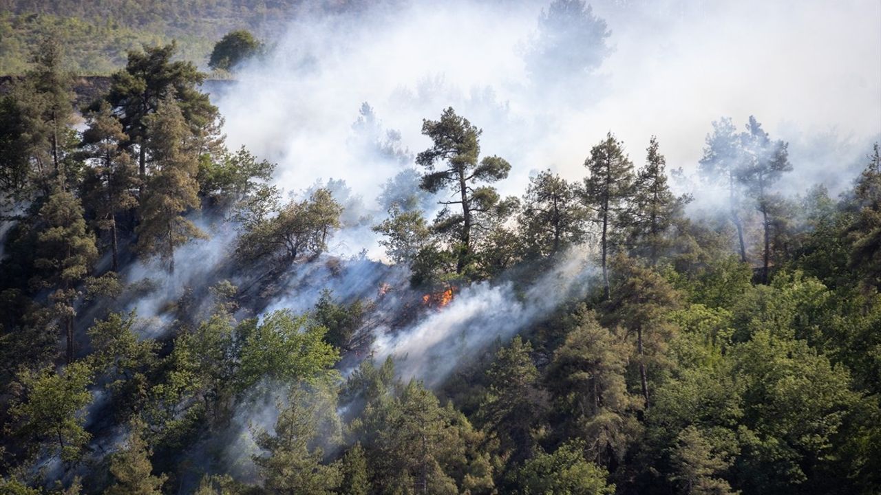 Sakarya'daki Orman Yangınında Söndürme ve Soğutma Çalışmaları Devam Ediyor