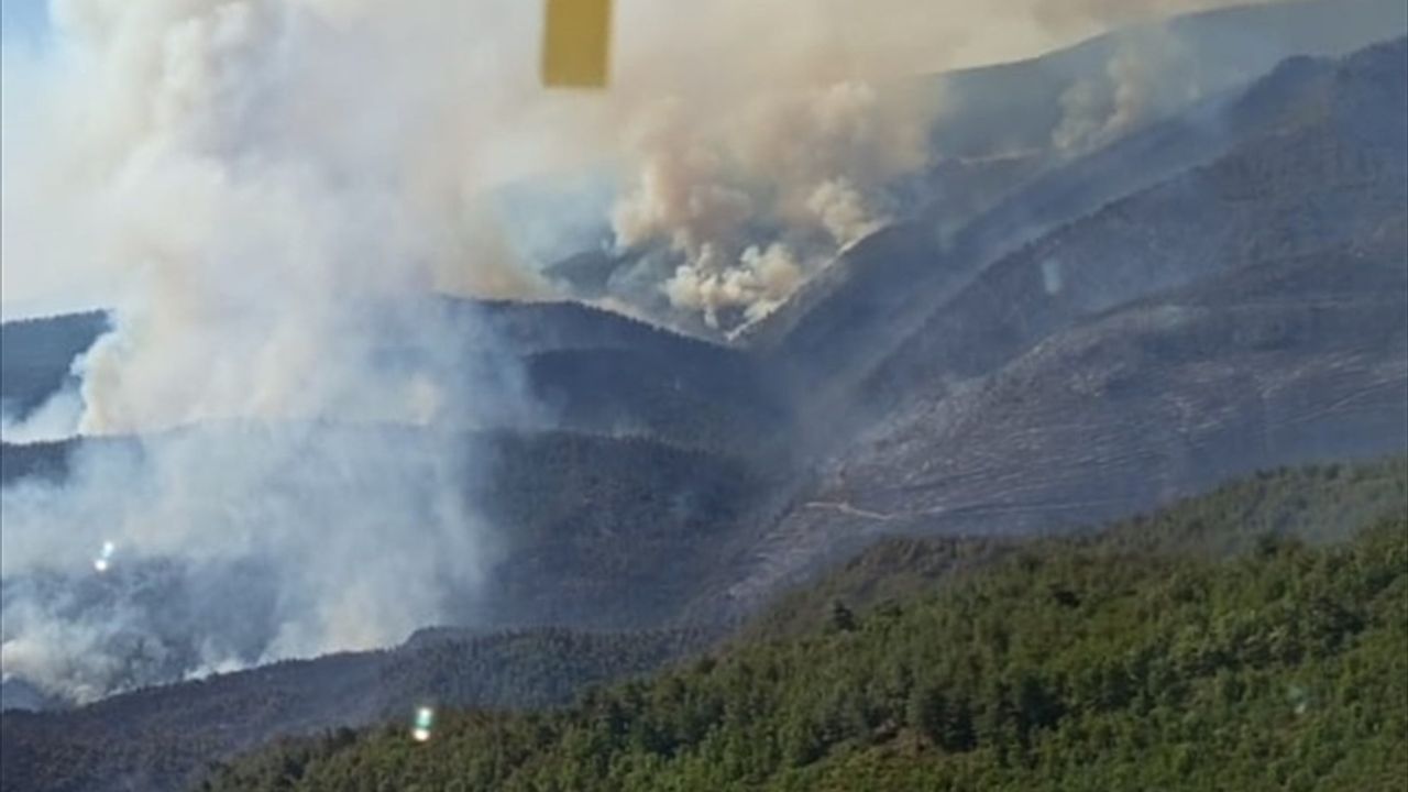 Sakarya ve Bilecik'teki Yangın Evleri Tahrip Etti