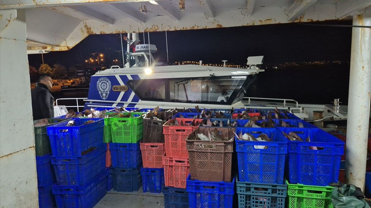 Samsun'da Kaçak Avlanan 6 Ton Kalkan Balığı Ele Geçirildi