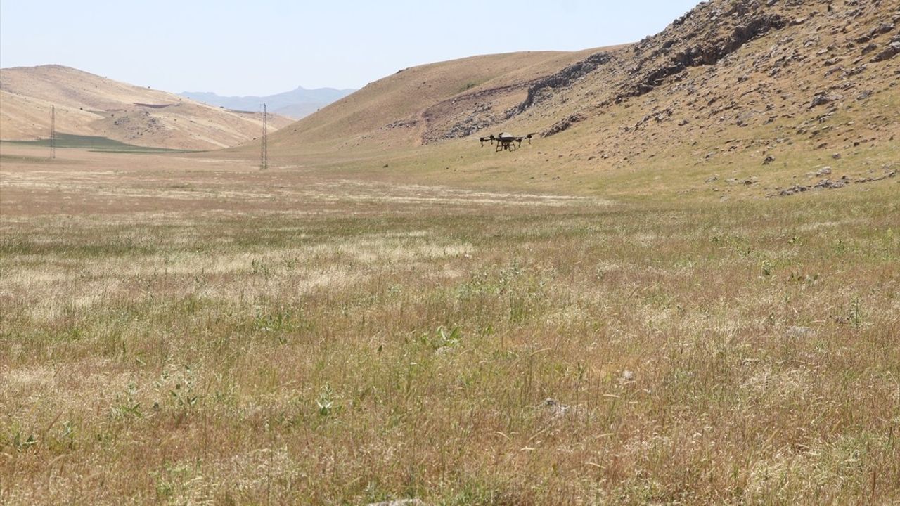 Siirt'te Çekirgelere Karşı Dronla İlaçlama Çalışmaları Başlatıldı