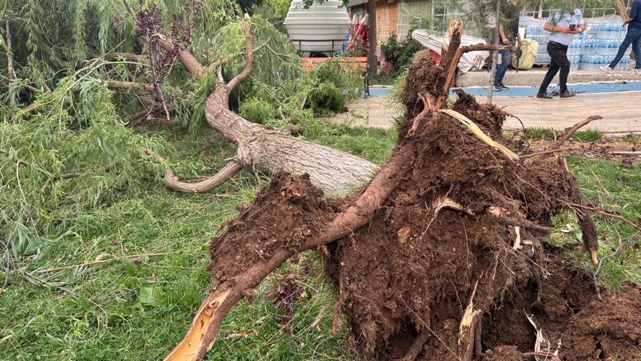 Siirt'te Kuvvetli Rüzgar Sonucu Devrilen Ağaçta İki Kişi Yaralandı