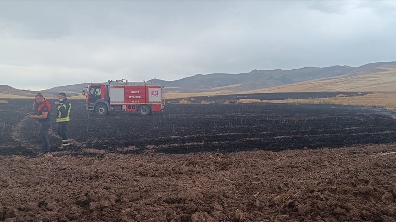 Siirt'te Yıldırım Düşmesi Sonrası Yangın, Mahsul Zarar Gördü