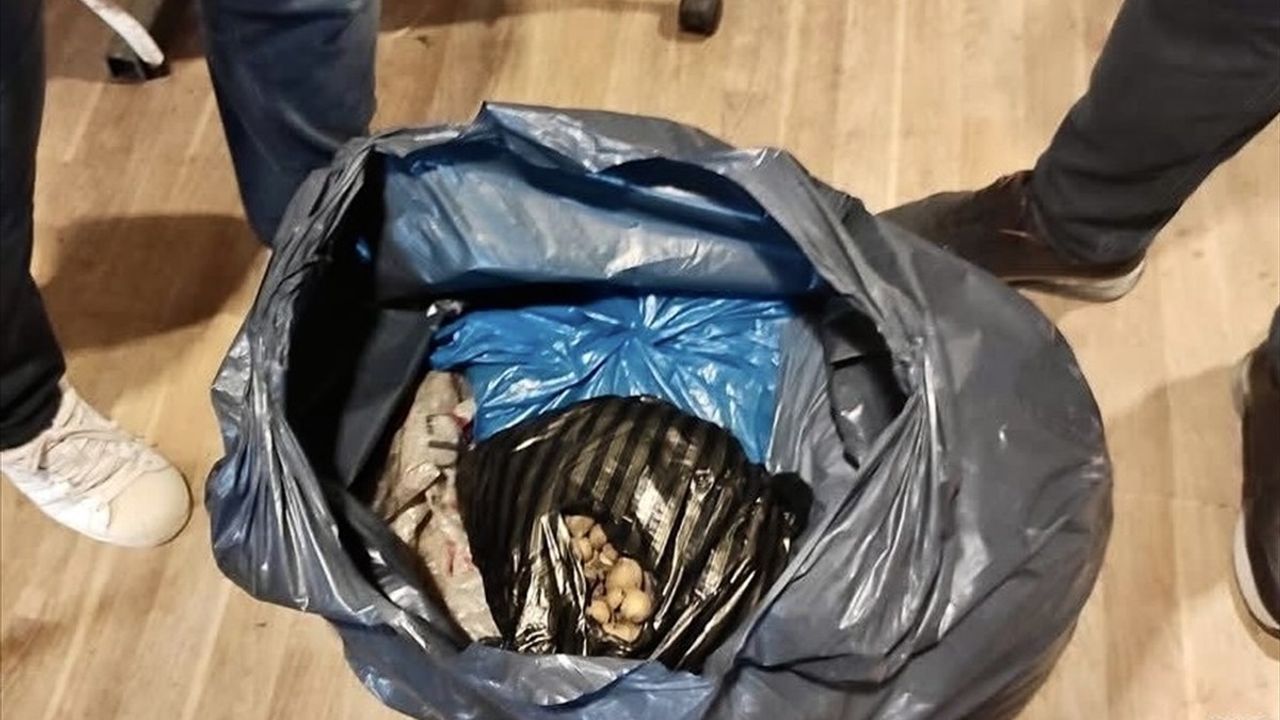 Sinop'ta İzinsiz Yabani Orkide Satışıyla İlgili İdari İşlem Başlatıldı