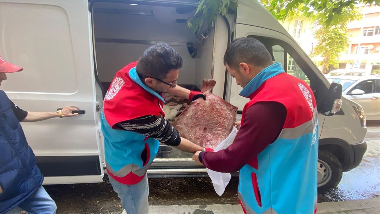 Sinop'ta Yasa Dışı Avlanan 363 Kalkan Balığı Vatandaşlara Dağıtıldı