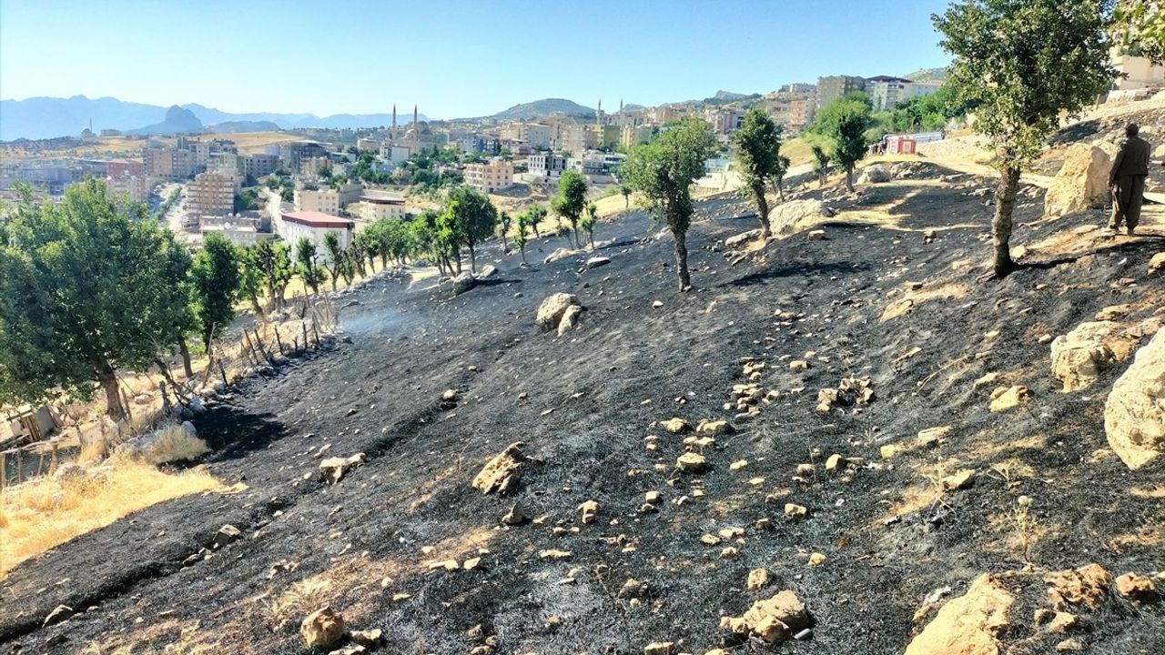 Şırnak Cizre'de Anız Yangını Kontrol Altına Alındı