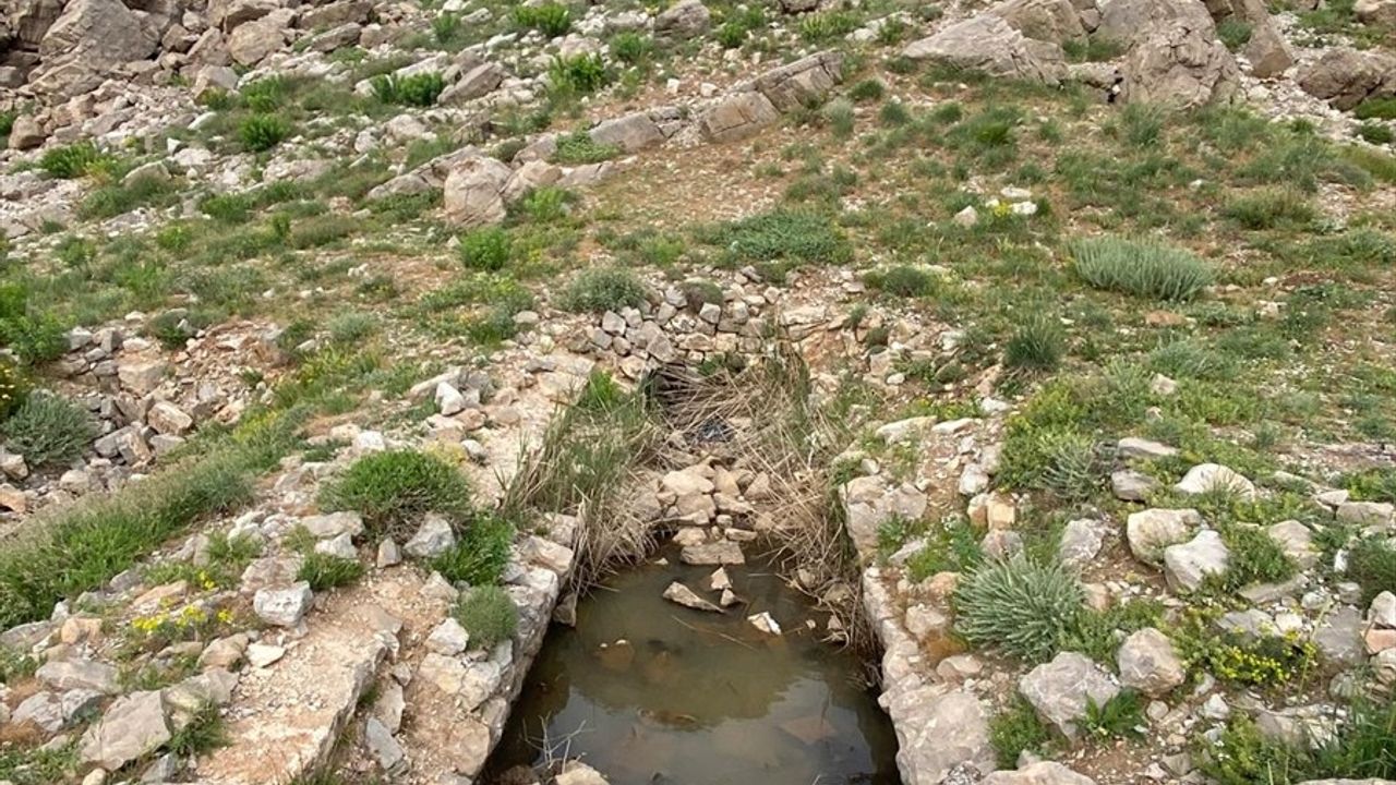 Şırnak'ta Arkeolojik Yüzey Araştırması Gerçekleştirildi