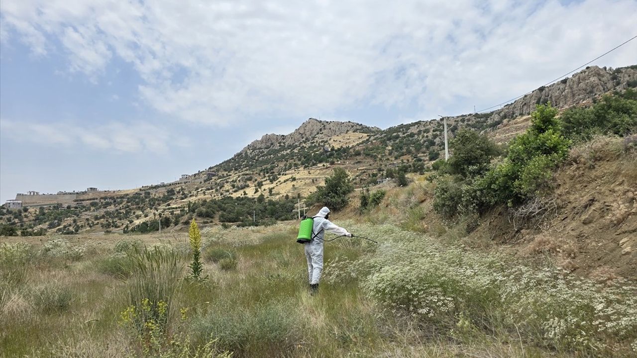 Şırnak'ta Çekirge Yoğunluğuna Karşı 700 Dekar Alanda İlaçlama