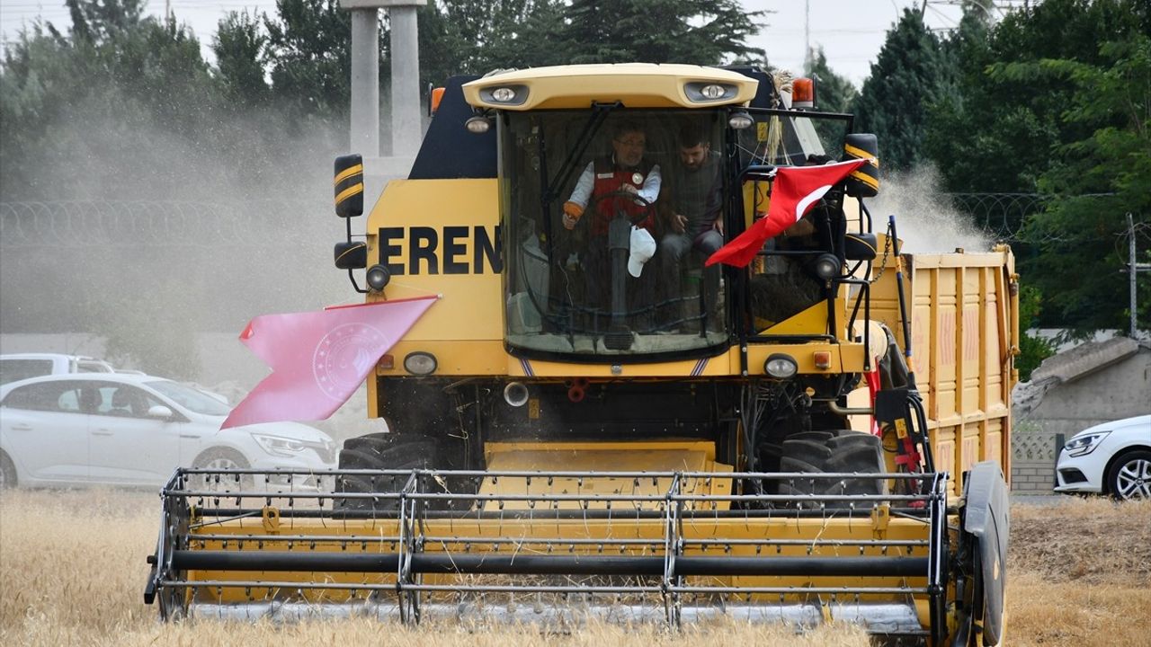 Tarım ve Orman Bakanı İbrahim Yumaklı'dan Batman'da Buğday Hasadı Açıklamaları