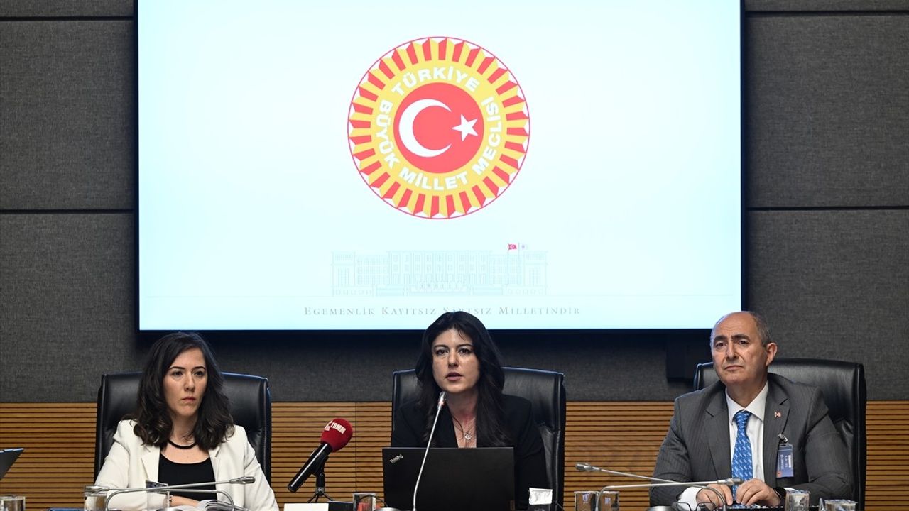 TBMM Zirai Don Olayını Araştırma Komisyonu Toplandı