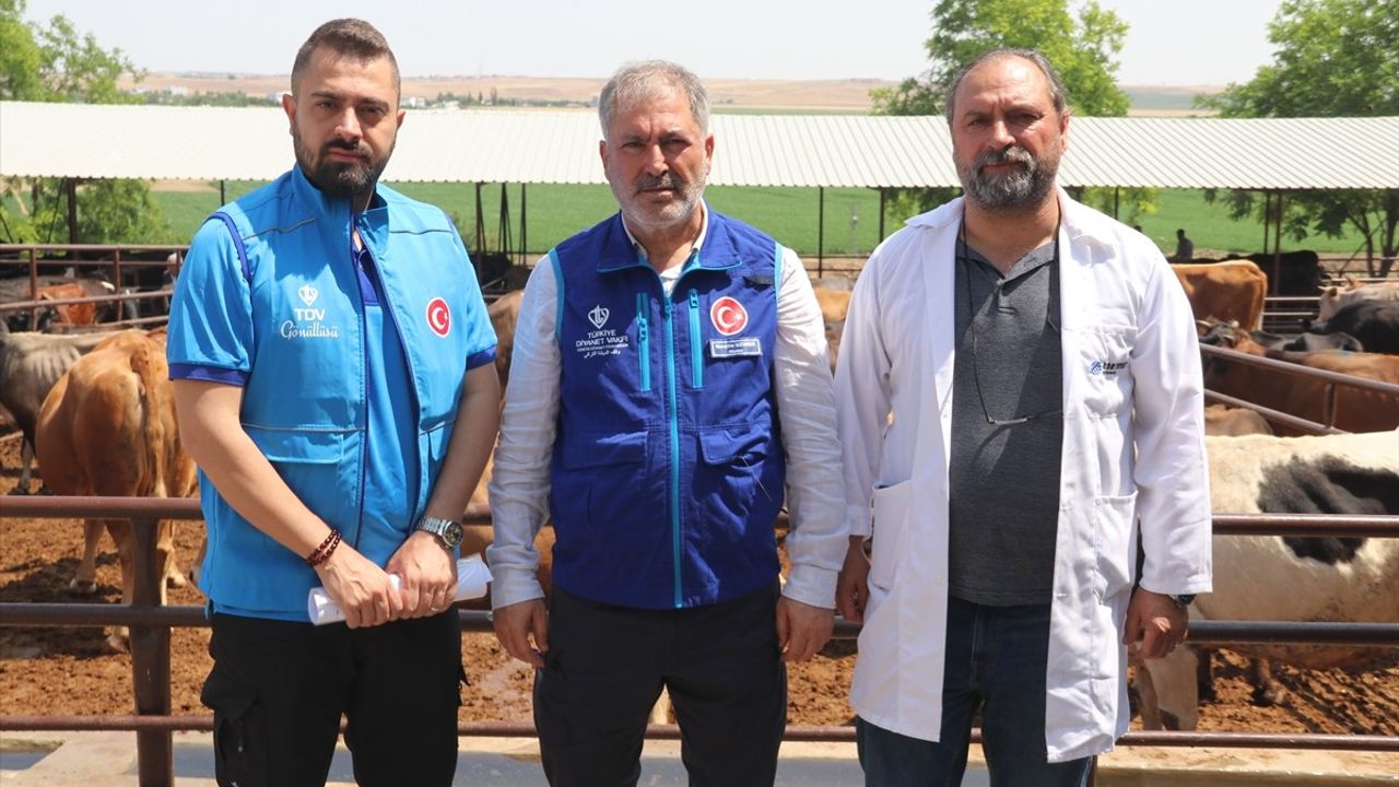 TDV, Diyarbakır'da 4 bin 25 Kurban Hissesi Etini İhtiyaç Sahiplerine Dağıtacak