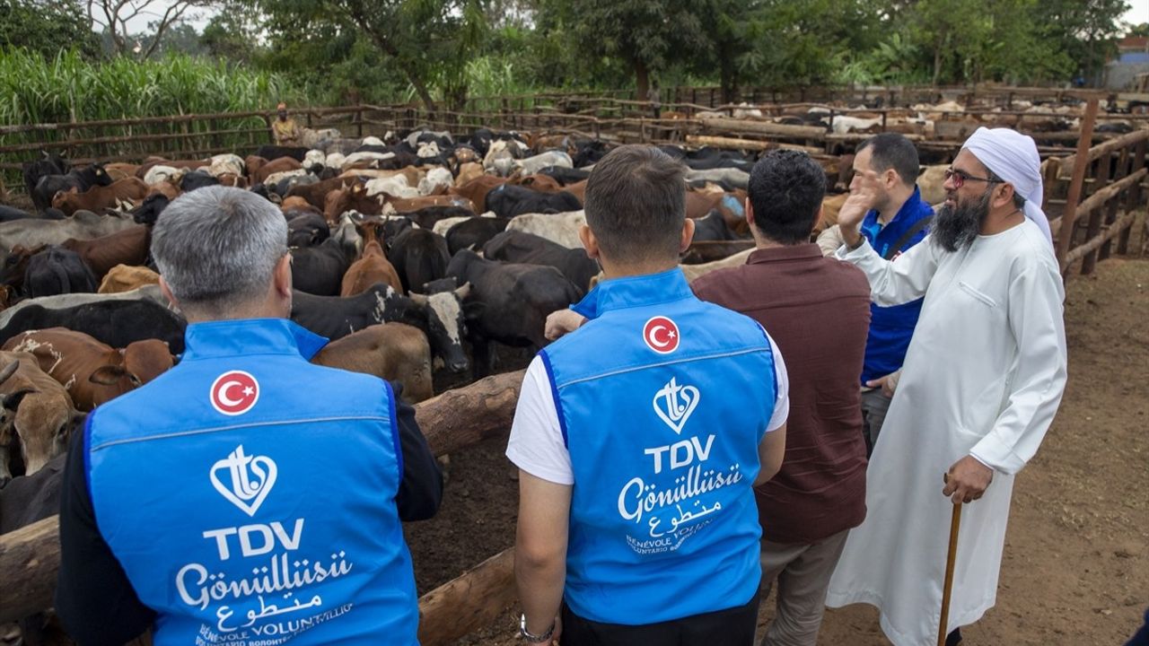 TDV Ekipleri Malavi'de Vekaletle Kurban Kesimi İçin Hazırlıklarını Tamamladı